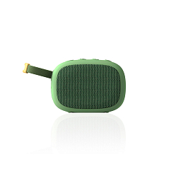 Беспроводная акустика FiiO Snowsky Anywhere Olive Green