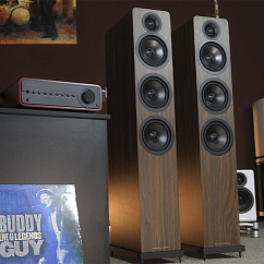 Напольная акустика Acoustic Energy AE120-2 Walnut