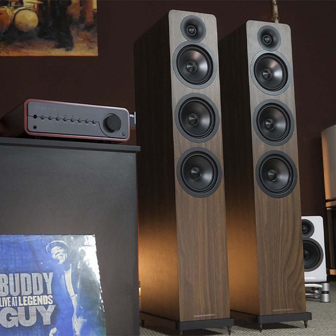Напольная акустика Acoustic Energy AE120-2 Walnut - рис.3