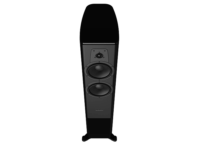 Напольная акустика Dynaudio Contour 30i Black High Gloss - рис.4