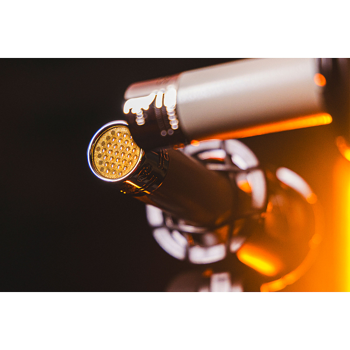 Микрофон студийный Telefunken ELA M 260 Cardioid Set White (pair) - рис.13