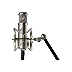 Микрофон студийный Warm Audio WA-47jr Silver Gold