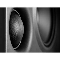 Студийный монитор Neumann KH 310 II R Black