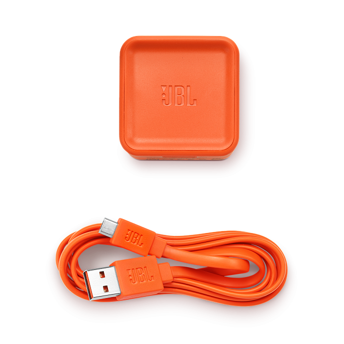 Портативная колонка JBL Tuner FM - рис.3