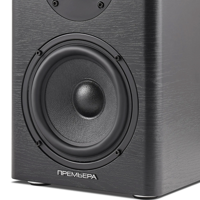 Полочная акустика Premiera ES-501A Black - рис.5