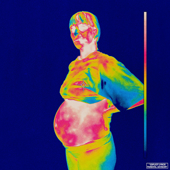 Пластинка Brockhampton - Iridescence 2LP - рис.0