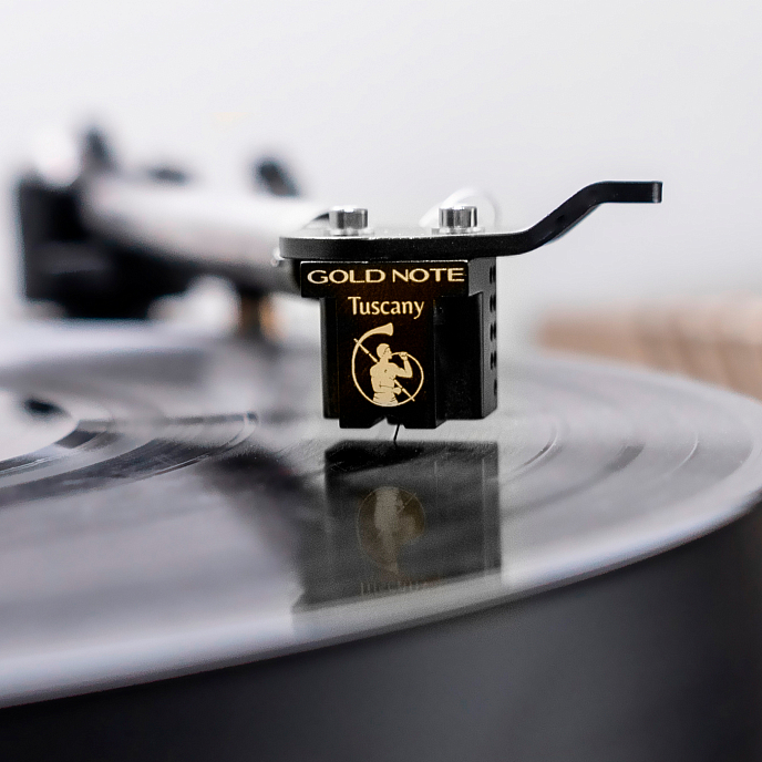 Звукосниматель Gold Note Tuscany Gold Black - рис.1