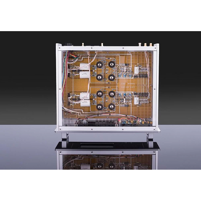 Фонокорректор Audio Research Reference Phono 10 Silver - рис.4