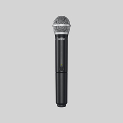 Радиосистема Shure BLX24E/PG58 M17