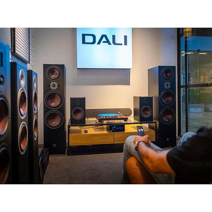 Напольная акустика Dali Oberon 9 Dark Walnut - рис.11