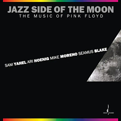 Виниловая пластинка Sam Yahel, Ari Hoenig, Mike Moreno, Seamus Blake – Jazz Side Of The Moon (The Music Of Pink Floyd) (Audiophile One-Step Pressing) LP
