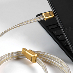 Кабель ddHiFi TC19BC Gold USB-C - USB-B 1m