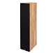 Напольная акустика Davis Acoustics Balthus 90 Light Oak - рис.3