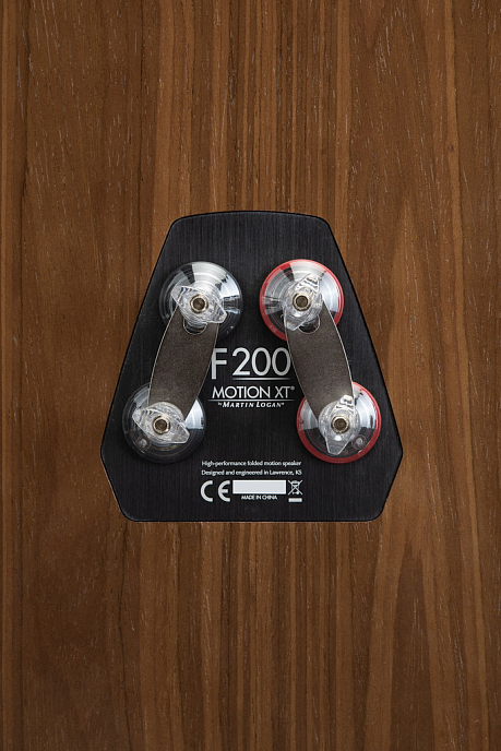 Напольная акустика Martin Logan Motion XT F200 Tower Walnut - рис.12