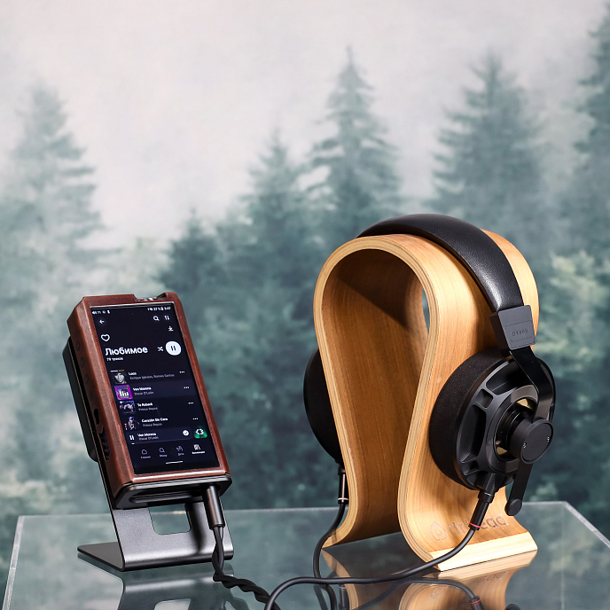 Наушники полноразмерные Final Audio D8000 Pro Limited Edition Black/Gold - рис.12