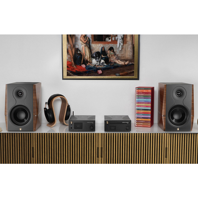 CD проигрыватель Gold Note CD-10 Gold - рис.10