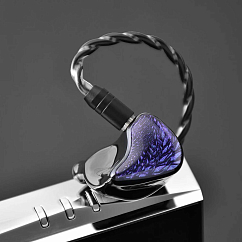 Наушники внутриканальные Celest Wyvern Black Type-С