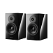 Акустическая система Dynaudio Evoke 20 Black High Gloss - рис.0