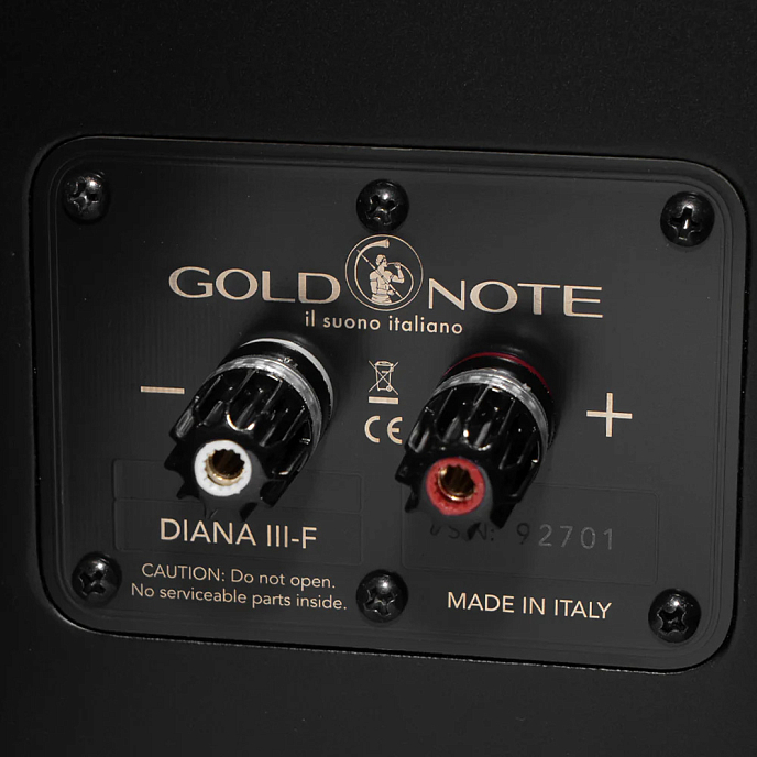 Сабвуфер Gold Note Diana III Subwoofer Black - рис.15