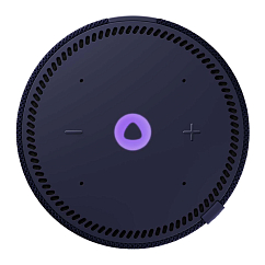 Умная колонка Яндекс Станция Мини Плюс Blue