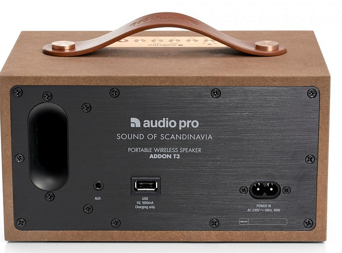 Портативная колонка Audio Pro Addon T3+ Raw - рис.2