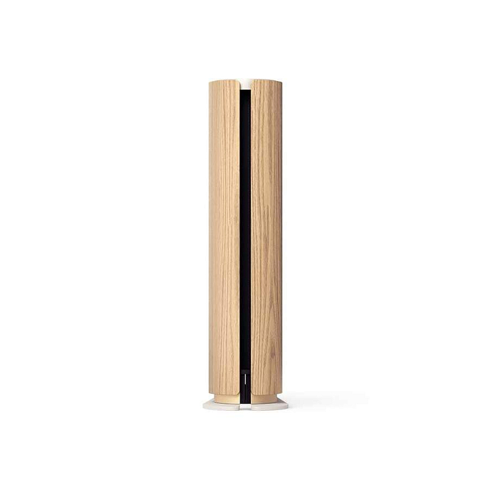 Беспроводная акустика Bang & Olufsen Beosound Emerge Gold Tone - рис.8