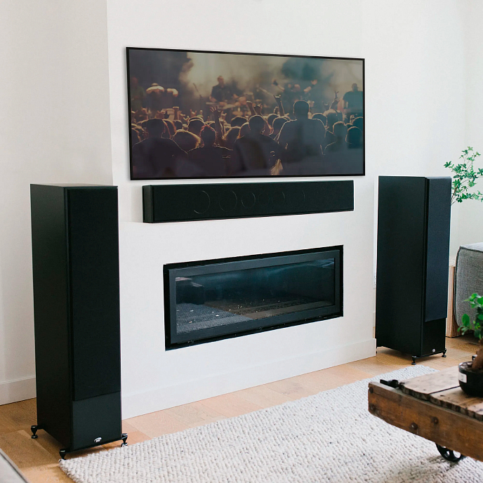 Напольная акустика PSB Imagine T65 Black - рис.6