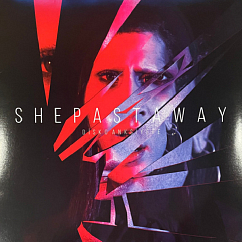 Виниловая пластинка She Past Away - Disko Anksiyete LP