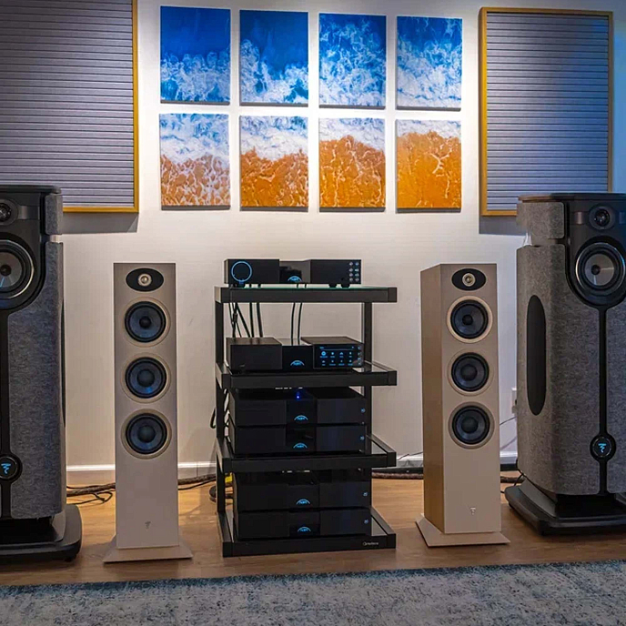 Напольная акустика Focal Theva N3 Light Wood - рис.5