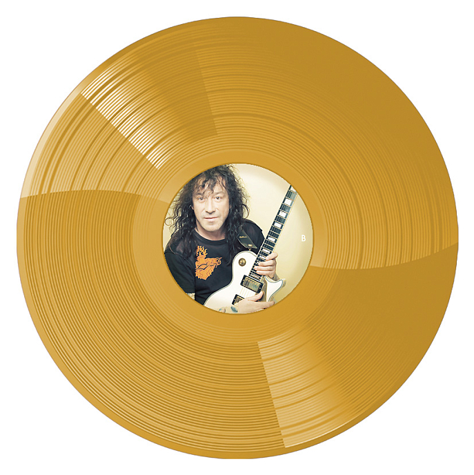 Виниловая пластинка Владимир Кузьмин – Небесное Притяжение (Gold Vinyl) LP - рис.2