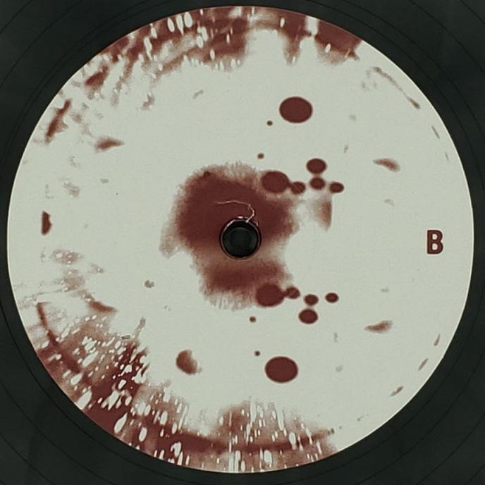 Виниловая пластинка Placebo - Loud Like Love 2LP - рис.3