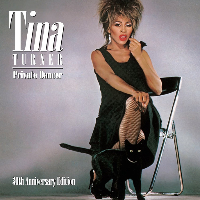 Пластинка Tina Turner Private Dancer (LP) - рис.0