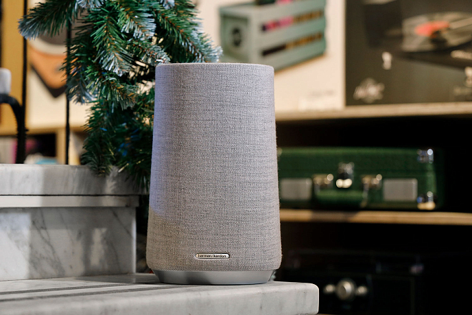 Портативная колонка Harman Kardon Citation 100 MKII Grey - рис.1