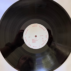 Виниловая пластинка Ambrose Akinmusire, Mary Halvorson - Slo-Mo Neon Luminate Hoverings LP