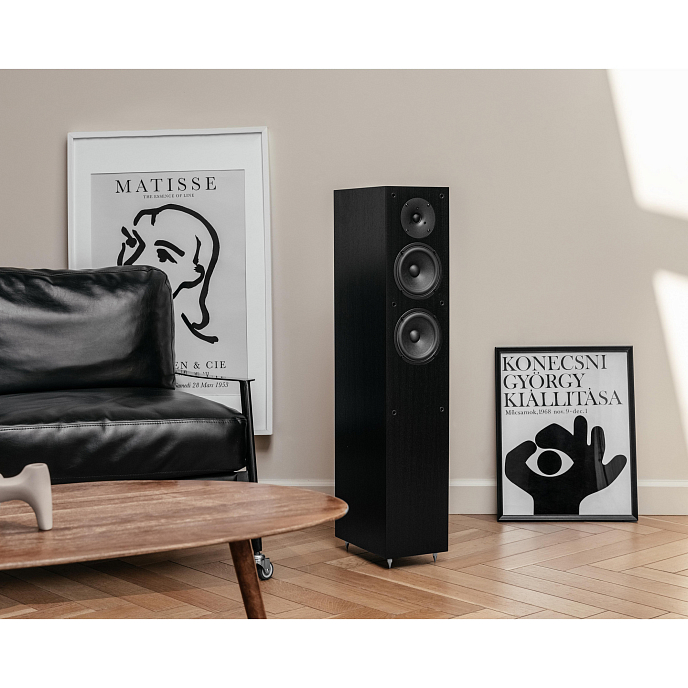 Напольная акустика Radiotehnika Vita 2.05 Black Ash - рис.14