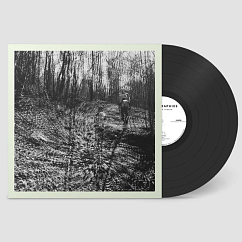 Виниловая пластинка Topographies - Interior Spring LP