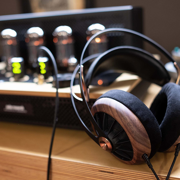 Интегральный усилитель Audio Research I/50 Black/Gold - рис.5