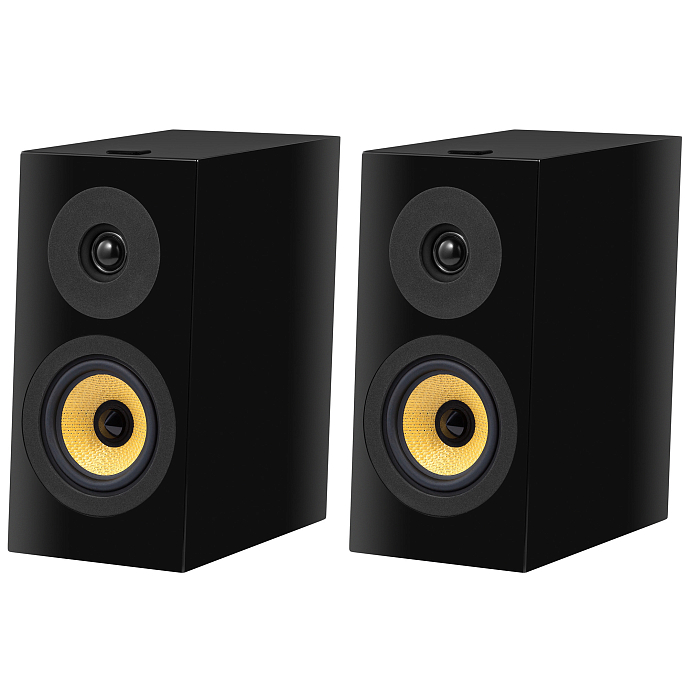 Полочная акустика Davis Acoustics Courbet N 3 Black Piano - рис.1