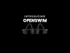 Беспроводные наушники Shokz OpenSwim Black