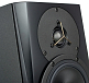 Студийный монитор Dynaudio LYD-5 Black - рис.6