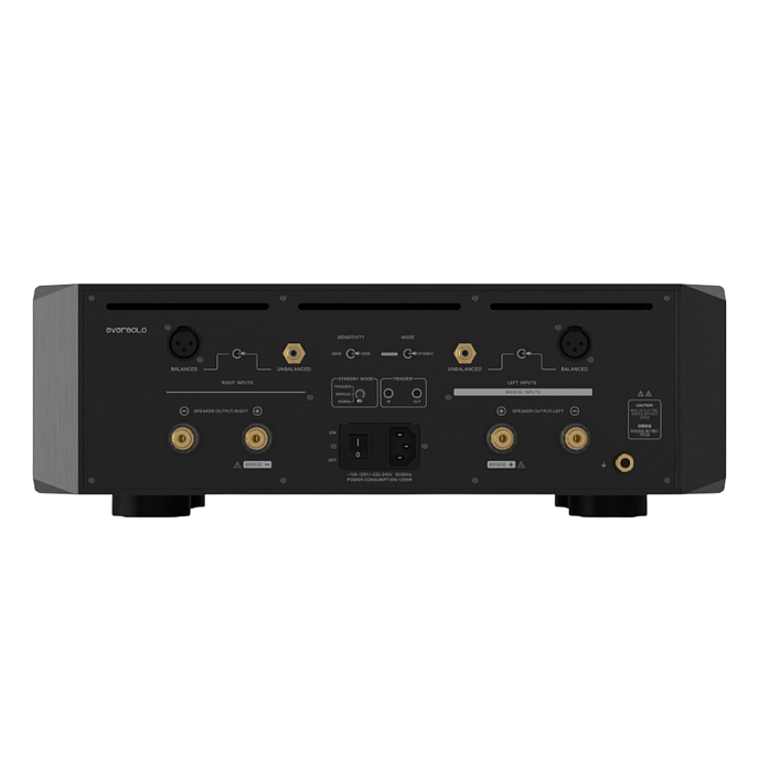 Усилитель мощности Eversolo AMP-F10 Black - рис.2
