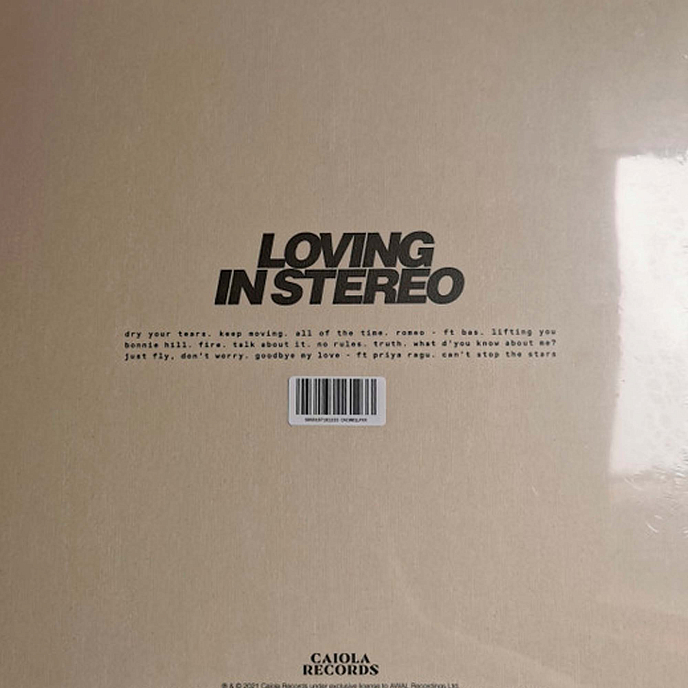 Виниловая пластинка Jungle - Loving In Stereo - LP - рис.1