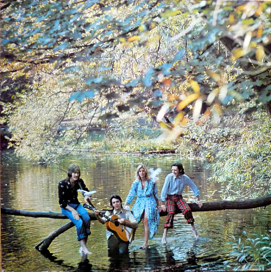 Пластинка McCartney, Paul Wild Life LP - рис.0