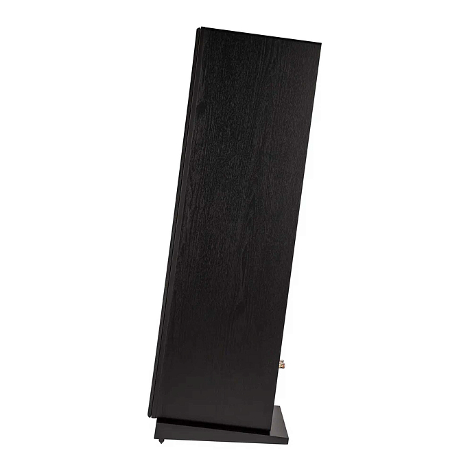 Напольная акустика Davis Acoustics Krypton N 10 Technik Black - рис.9