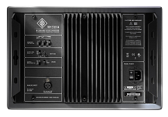 Студийный монитор Neumann KH 310 A R G