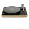 Clearaudio Concept MC/S Black / Wood + Satisfy Kardan