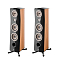 Focal Kanta N3 Walnut HG Deep Black