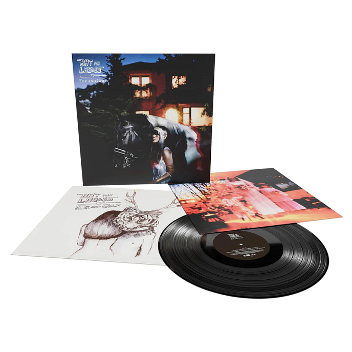 Виниловая пластинка Bat For Lashes - Fur And Gold LP - рис.1