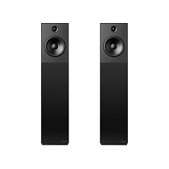 Напольная акустика Guru 20 Satin Black