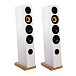 Напольная акустика Davis Acoustics Courbet N 5 White Gloss - рис.0 Напольная акустика Davis Acoustics Courbet N 5 White Gloss - рис.0